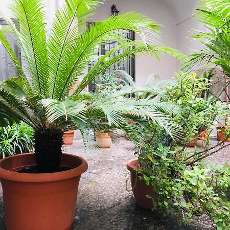 B&B Fiumara Naples Extérieur photo